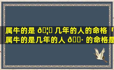 属牛的是 🦅 几年的人的命格「属牛的是几年的人 🌷 的命格是什么」